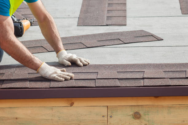 Best Asphalt Shingle Roofing  in Pretty Bayou, FL